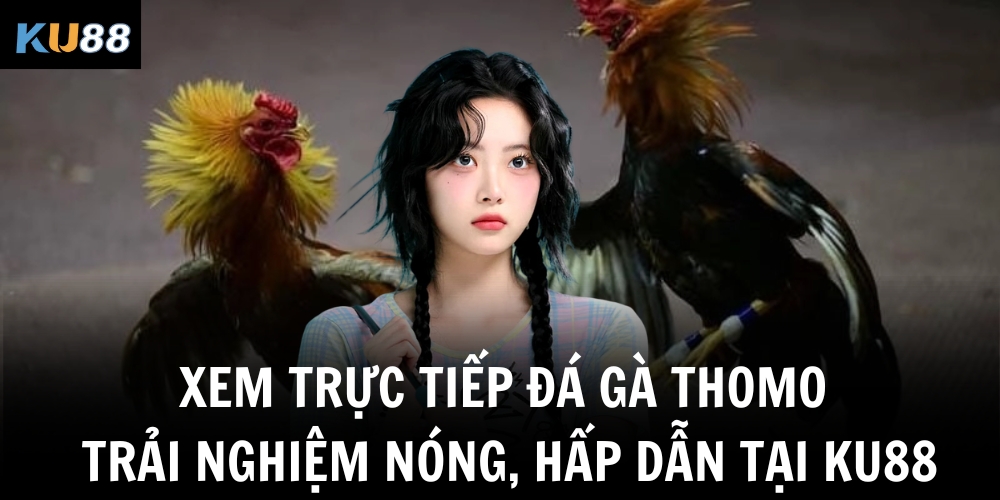 xem truc tiep da ga thomo trai nghiem nong hap dan tai ku88